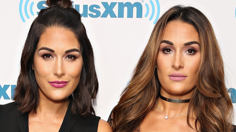 The Bella Twins on the red carpet