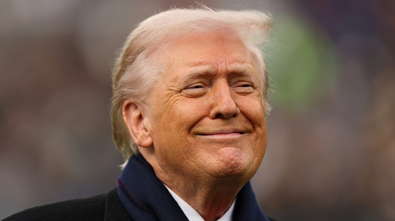 Donald Trump smiles