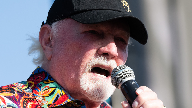 Mike Love performing