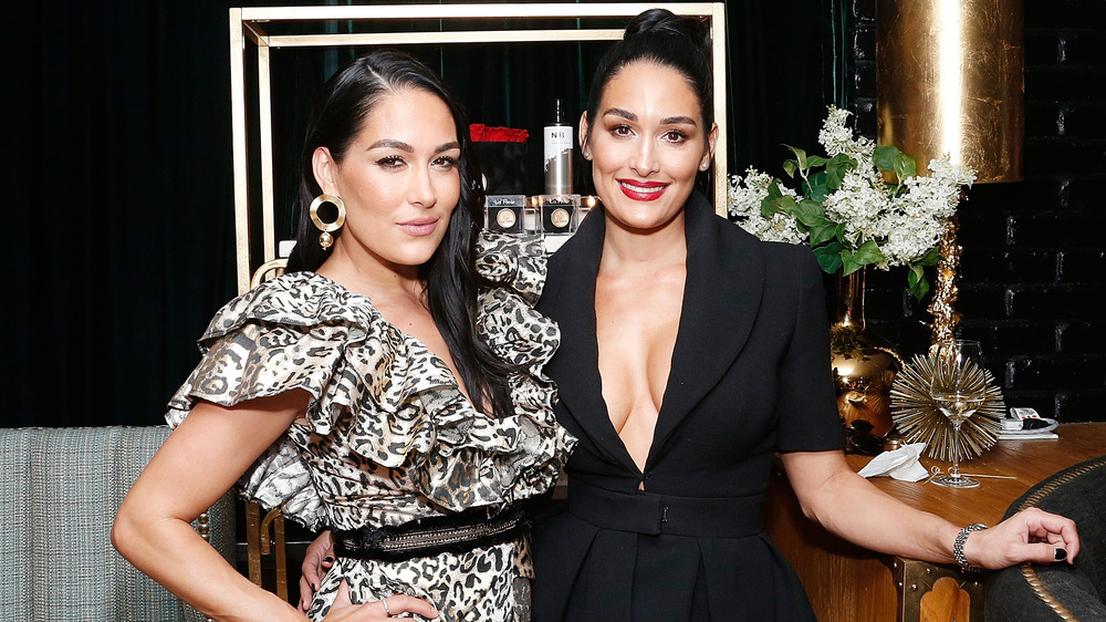 Nikki and Brie Bella at an event