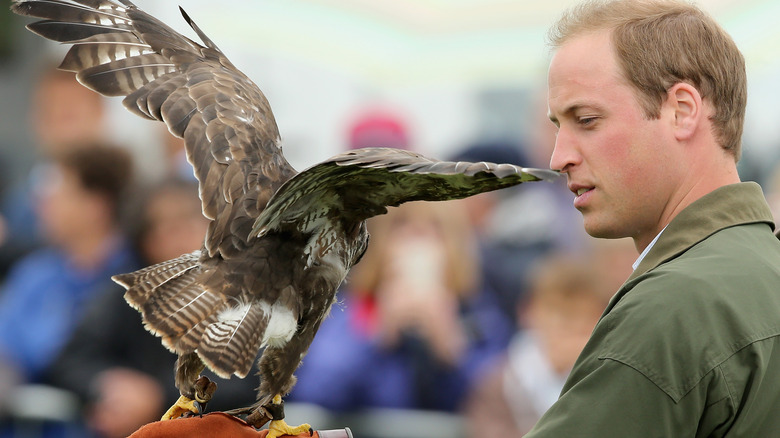 Prince William holding a falcon 