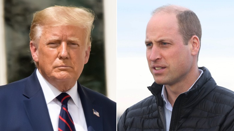 Donald Trump squinting, Prince William looking bemused
