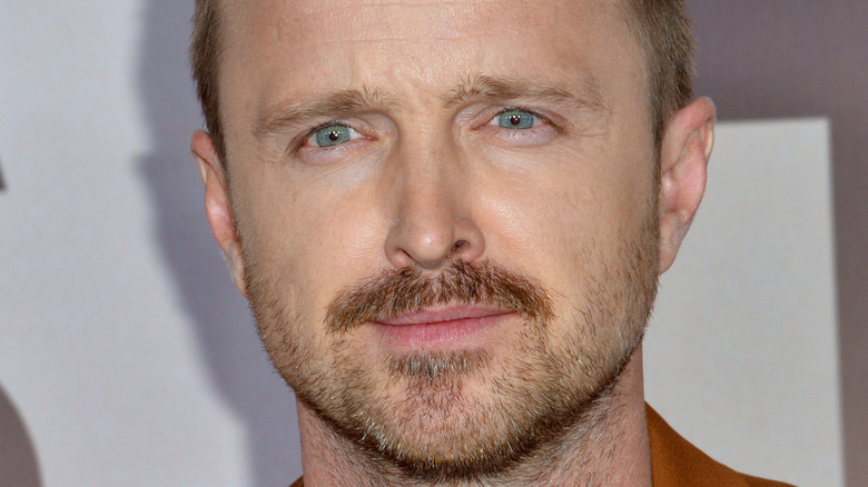 Aaron Paul posing