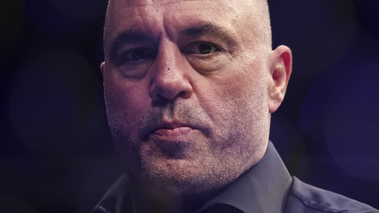 Joe Rogan staring
