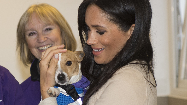 Meghan Markle holding a dog