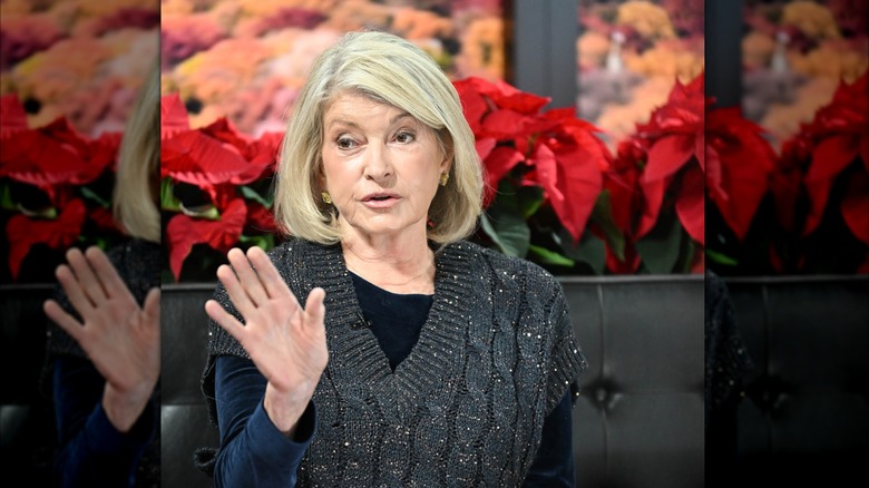 Martha Stewart speaking on "Good Day New York"