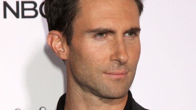 Adam Levine poses for a press photo