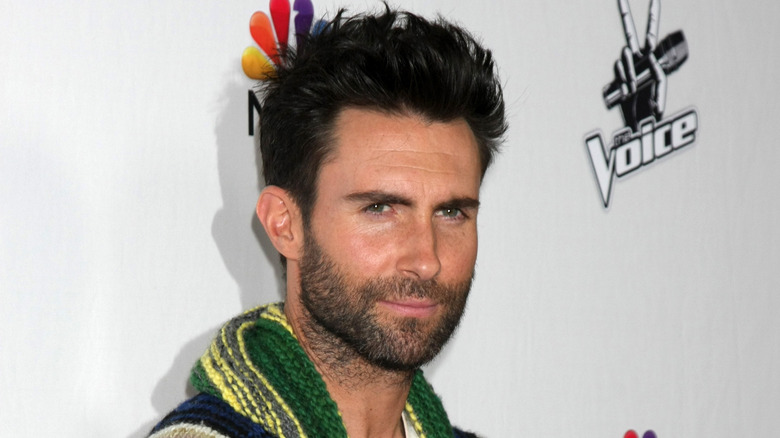 Adam Levine poses for a press photo