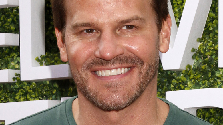 David Boreanaz in 2017