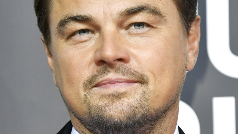 Leonardo DiCaprio smiling
