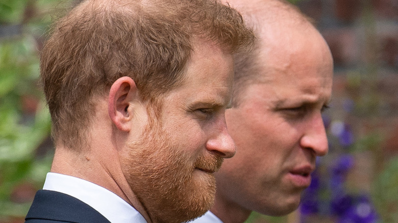 Princes Harry and William posing