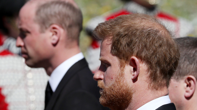 Princes William and Harry posing