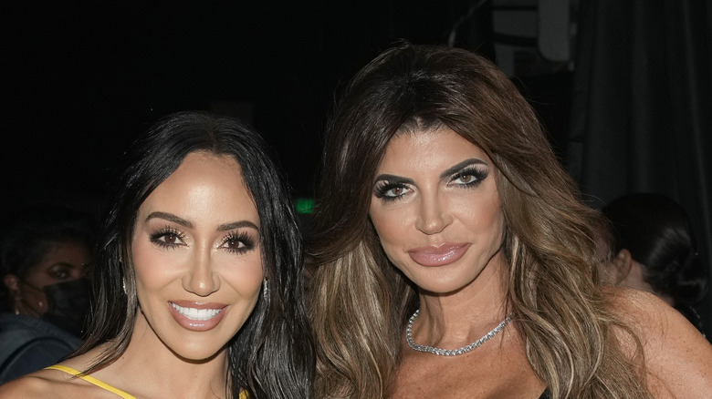 Melissa Gorga and Teresa Giudice smiling