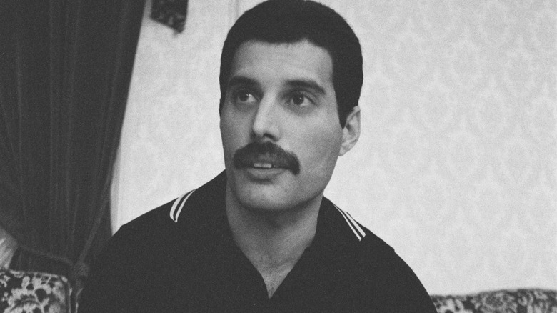 Freddie Mercury in an interview