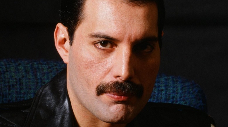 Freddie Mercury looking at camera, seated