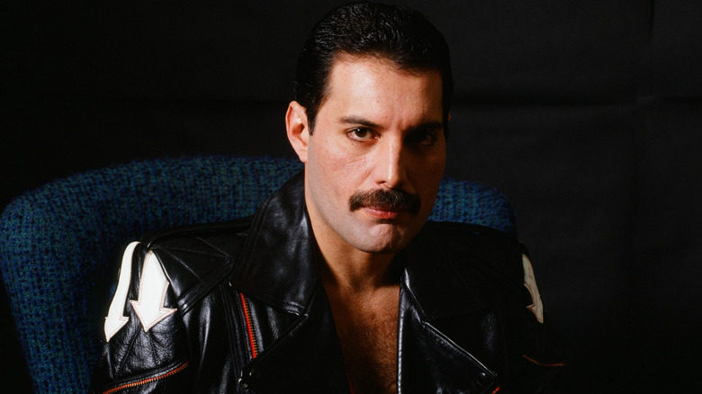 Freddie Mercury looking at camera, seated