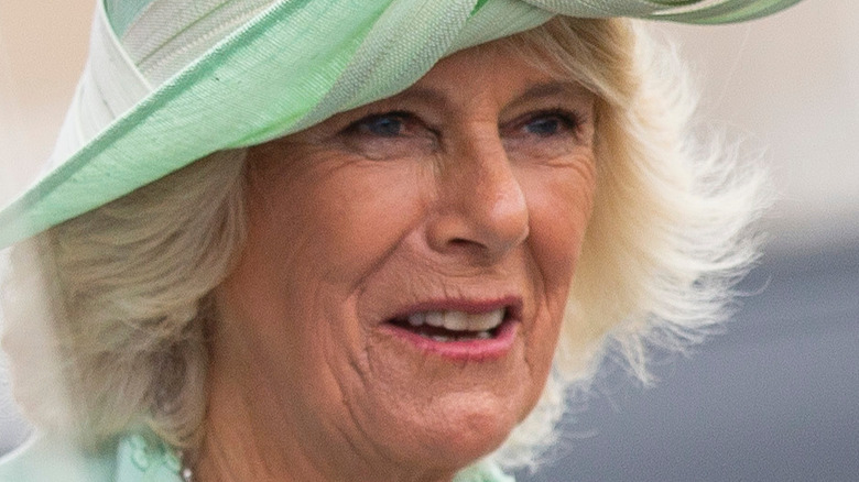 Camilla Bowles in 2016