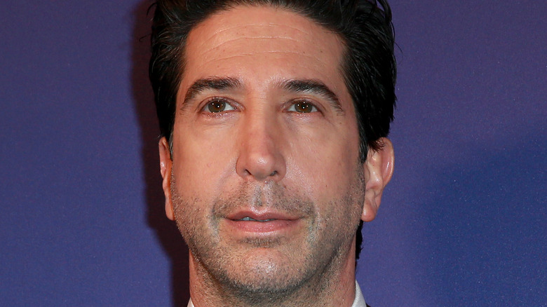 David Schwimmer on red carpet