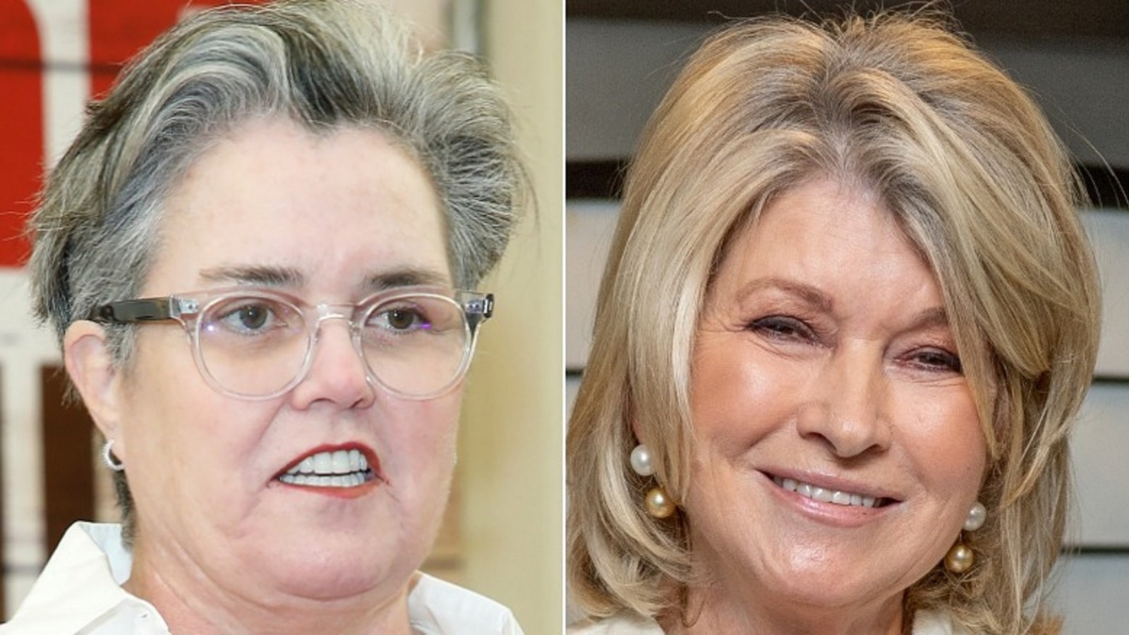 The Gift Rosie O'Donnell Gave Martha Stewart When She Got Out Of Prison