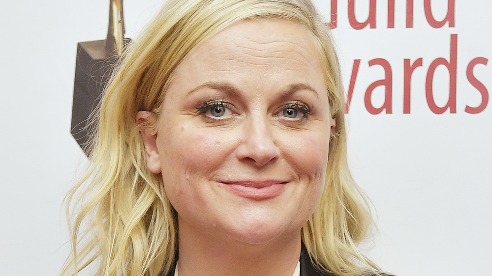 Amy Poehler and Tina Fey on the red carpet 