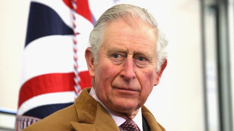 King Charles poses in brown jacket