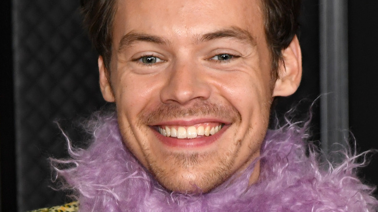 Harry Styles smiling feather boa