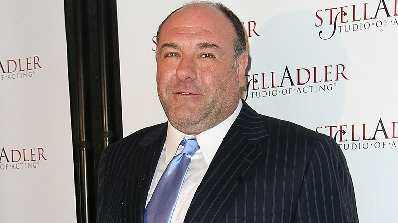 James Gandolfini posing