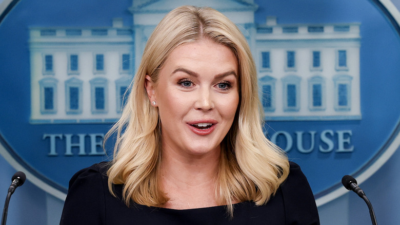 Karoline Leavitt raises eyebrows while speaking to the press