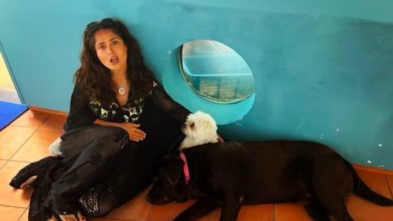 Salma Hayek and dogs