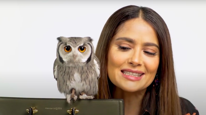 Salma Hayek and pet owl