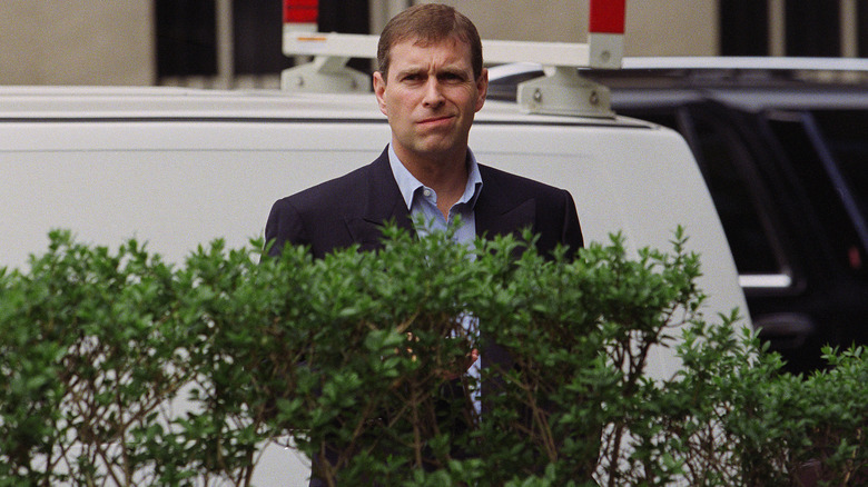Andrew Windsor standing behind a bush awkwardly