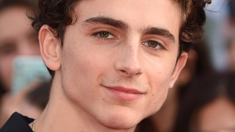 Timothée Chalamet at London Film Festival 2018