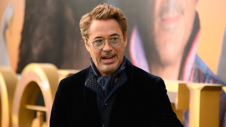 Robert Downey Jr. red carpet