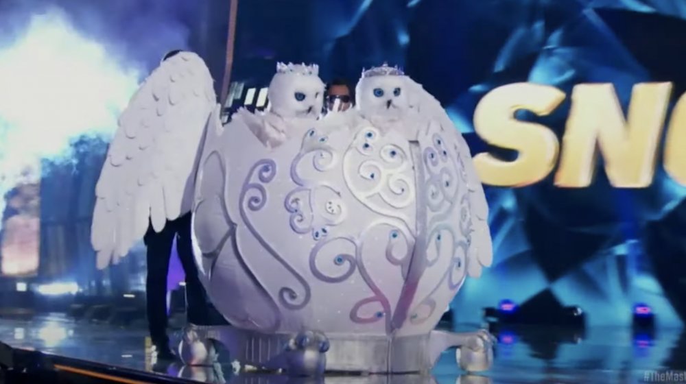 Snow Owls on the Masked Singer