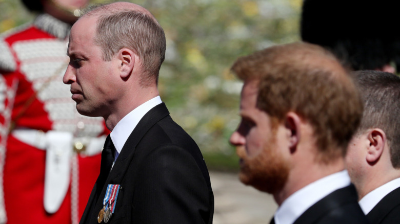 Prince William and Prince Harry