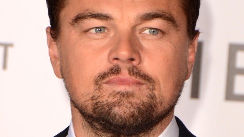 Leonardo DiCaprio on the red carpet