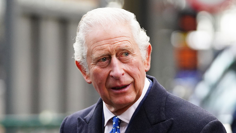 Prince Charles photographed outdoors