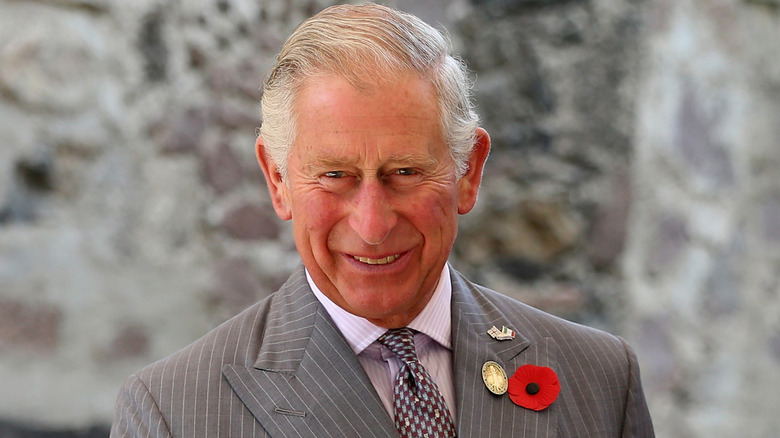 Prince Charles wearing a grey suit, posing in front of a grey stone wall