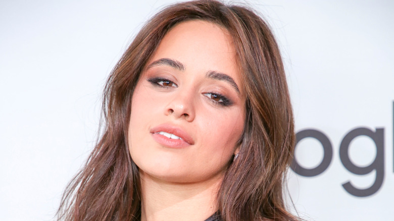 Camilla Cabello posing