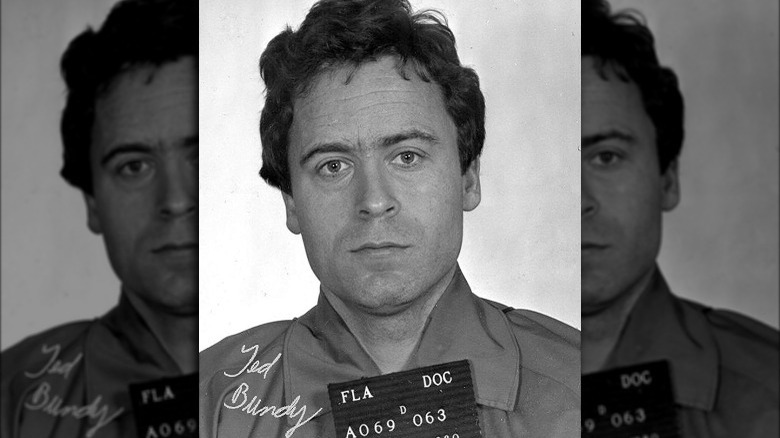 Ted Bundy mug shot