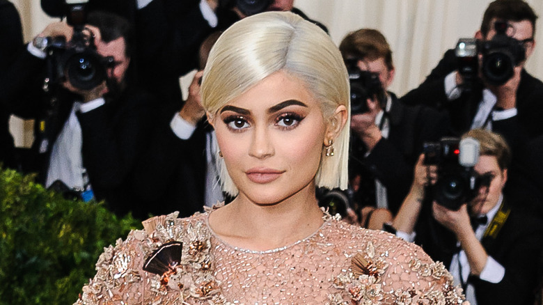 Kylie Jenner posing 