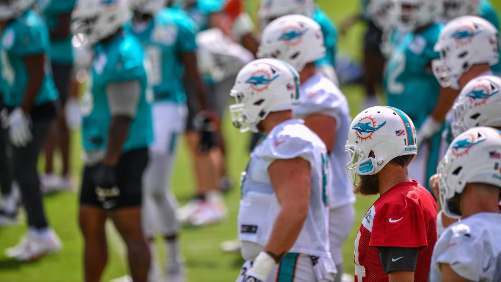 Miami Dolphins walking on football field