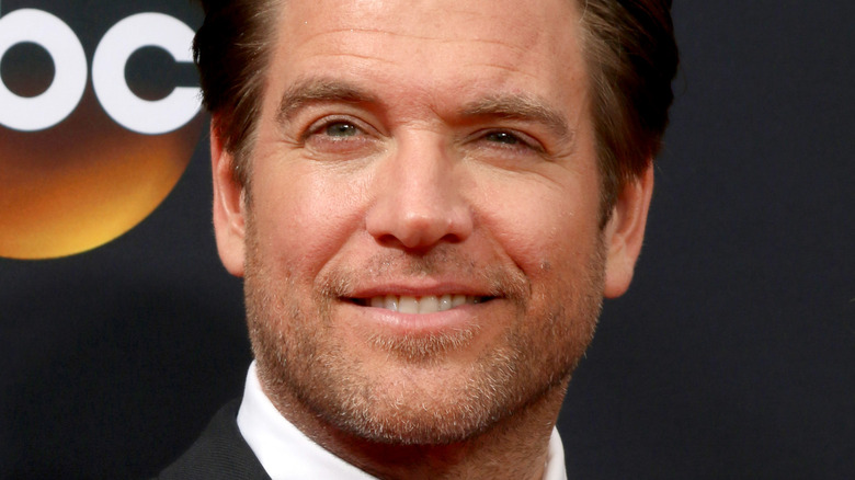 Michael Weatherly smiling on red carpet