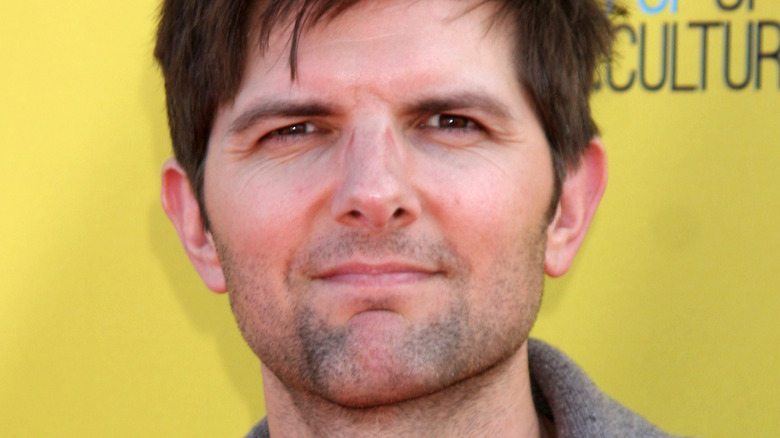 Adam Scott on red carpet