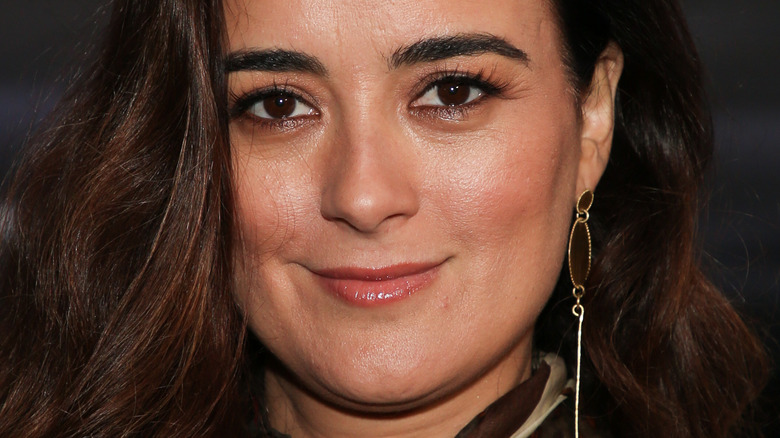 Cote de Pablo smiling