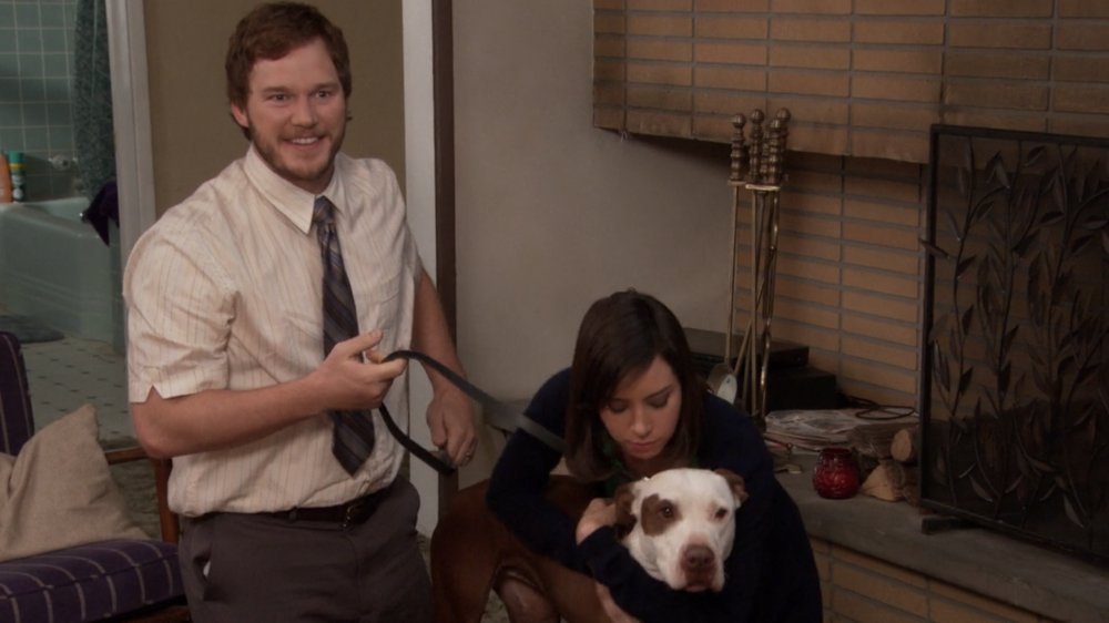 Chris Pratt and Aubrey Plaza in Parks and Recreation