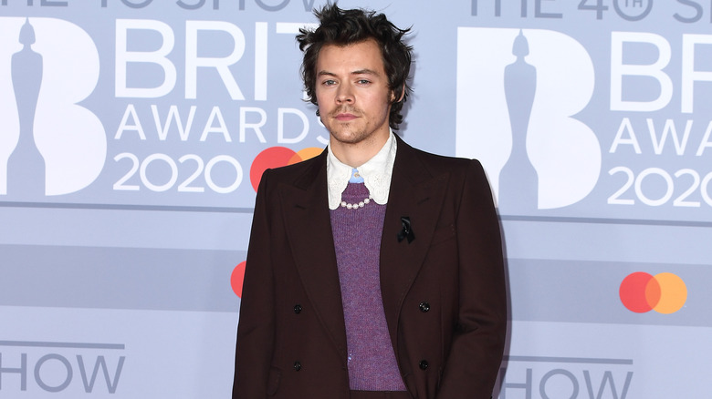 Harry Styles posing