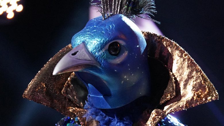 direktør Grader celsius Misforstå The Peacock From The Masked Singer Accidentally Revealed