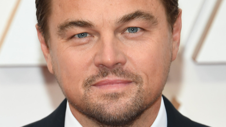 Leonardo DiCaprio smiling