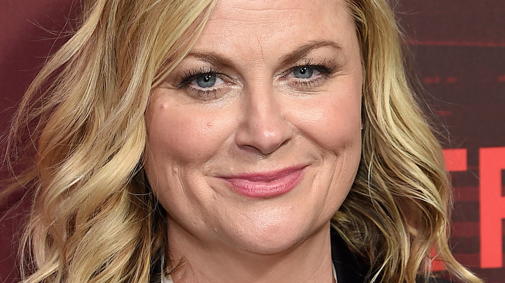 Amy Poehler smiling 